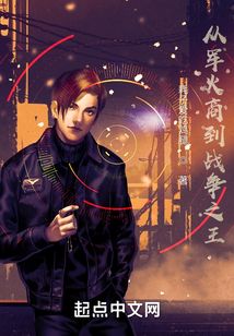从军火商到战争之王精校版