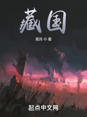 藏国小说TXT下载