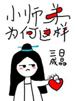 小师弟为何这样笔趣阁