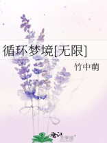 循环梦境[无限]27