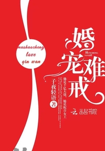 婚宠难戒全文阅读