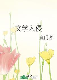 文学入侵txt百度云