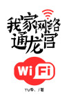 我家网络通龙宫小说