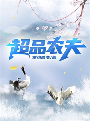 超品农夫 TXT下载