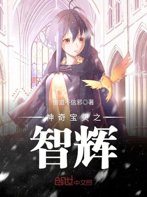 神奇宝贝之智辉 小说