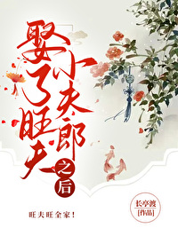 娶了旺夫小夫郎之后txt百度云