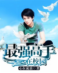 最强高手在校园百度百科