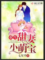 重生甜妻老公请宠我