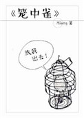 笼中雀儿 缅北
