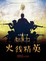 抗战之火线精英txt