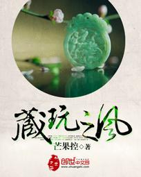 小说藏风
