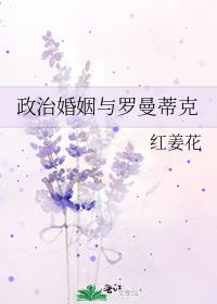 政治婚姻与罗曼蒂克 小说