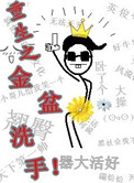 重生之金盆洗手小说讲的是什么