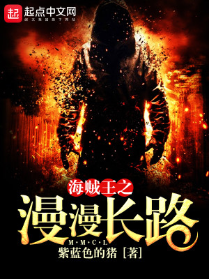 海贼之漫漫长路txt