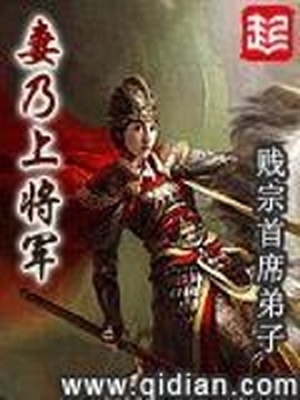 身为燕国唯一的女将军小说