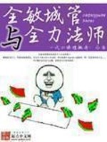 敏捷城管和全力法师