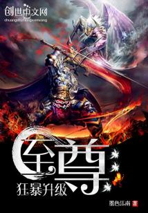至尊掠夺系统