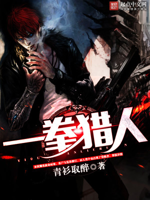 一拳猎人 小说