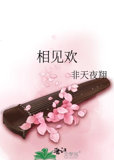 相见欢非天夜翔讲的什么