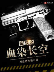 抗战之血染长空 小说