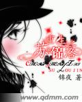 重生之苏锦洛相似小说推荐