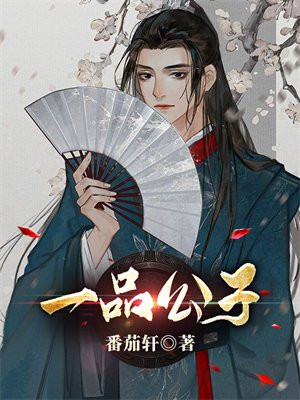 一品公子福彩3d字谜总汇