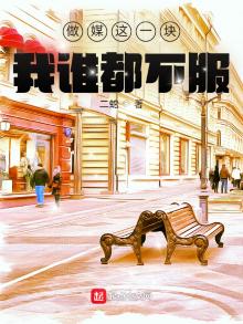 做媒这一块,我谁都不服有声小说