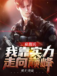 雇佣兵小说完本