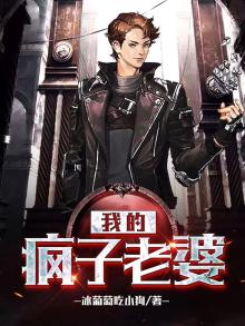 我的疯子老婆陈魔