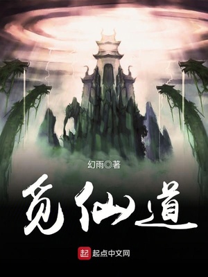 觅仙道txt