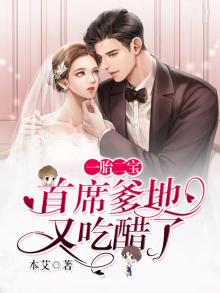 一胎二宝,首席总裁宠妻入骨免费