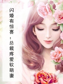 闪婚总裁疼妻入骨全文阅读