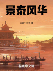 景泰风华全文阅读