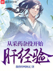 从采药杂役开始肝经验 小说