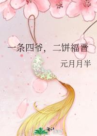 一条四爷二饼福晋讲的什么