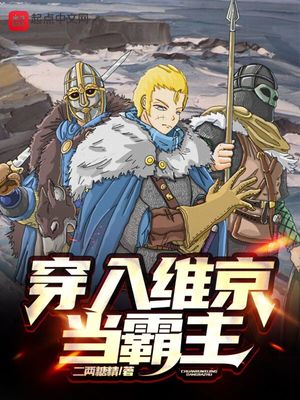 类似穿入维京当霸主的小说