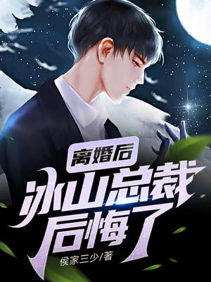 离婚后冰山女总裁开始后悔