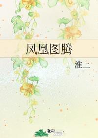 凤凰图腾 车