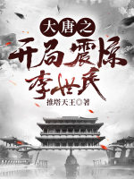 大唐之开局震惊李世民推塔天王
