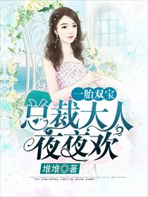一胎双宝,总裁大人夜夜欢下载