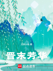晋末芳华小说免费阅读