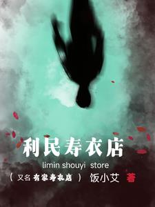 有家寿衣店小说