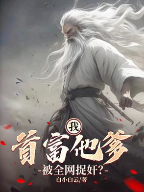 首富是我儿 小说