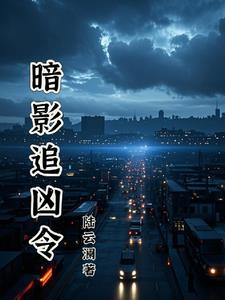 暗夜追凶小说讲的什么