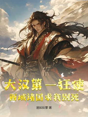 大汉西域都护府小说