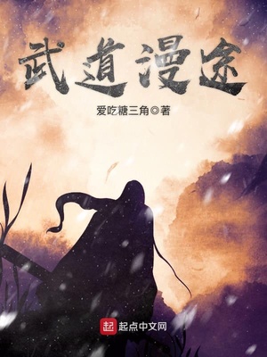 武道漫途TXT精校版