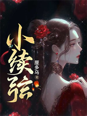 小续弦百度云