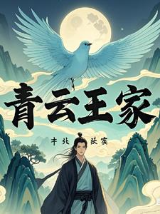 青云家族小说