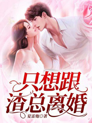 只想跟渣总离婚季先生小说