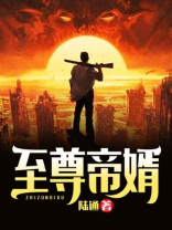至尊帝婿秦怀道正版阅读